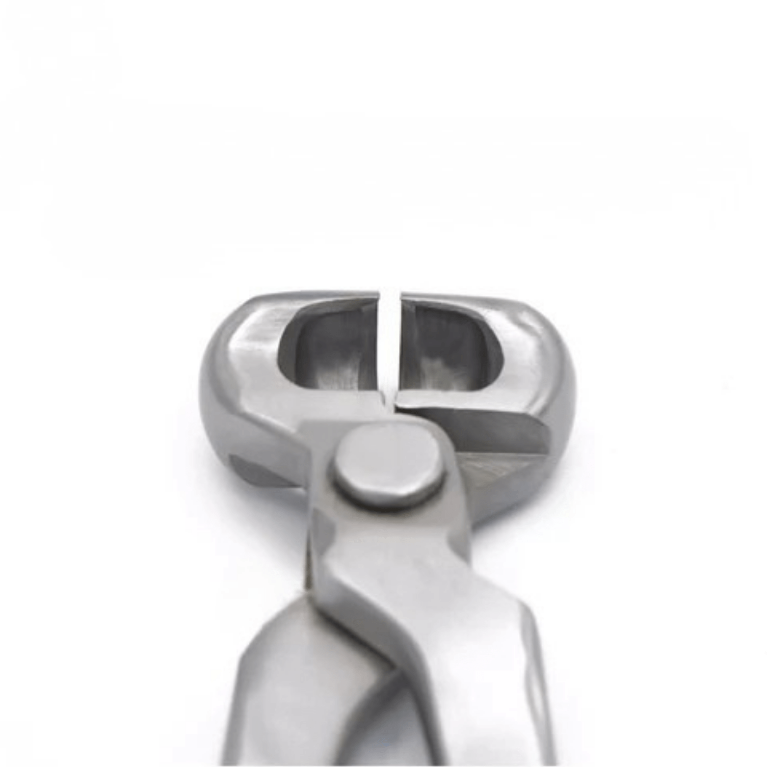 Half - Round Jaw Hoof Nipper for Farriers | Precision Hoof Trimming Tool - PK HARD