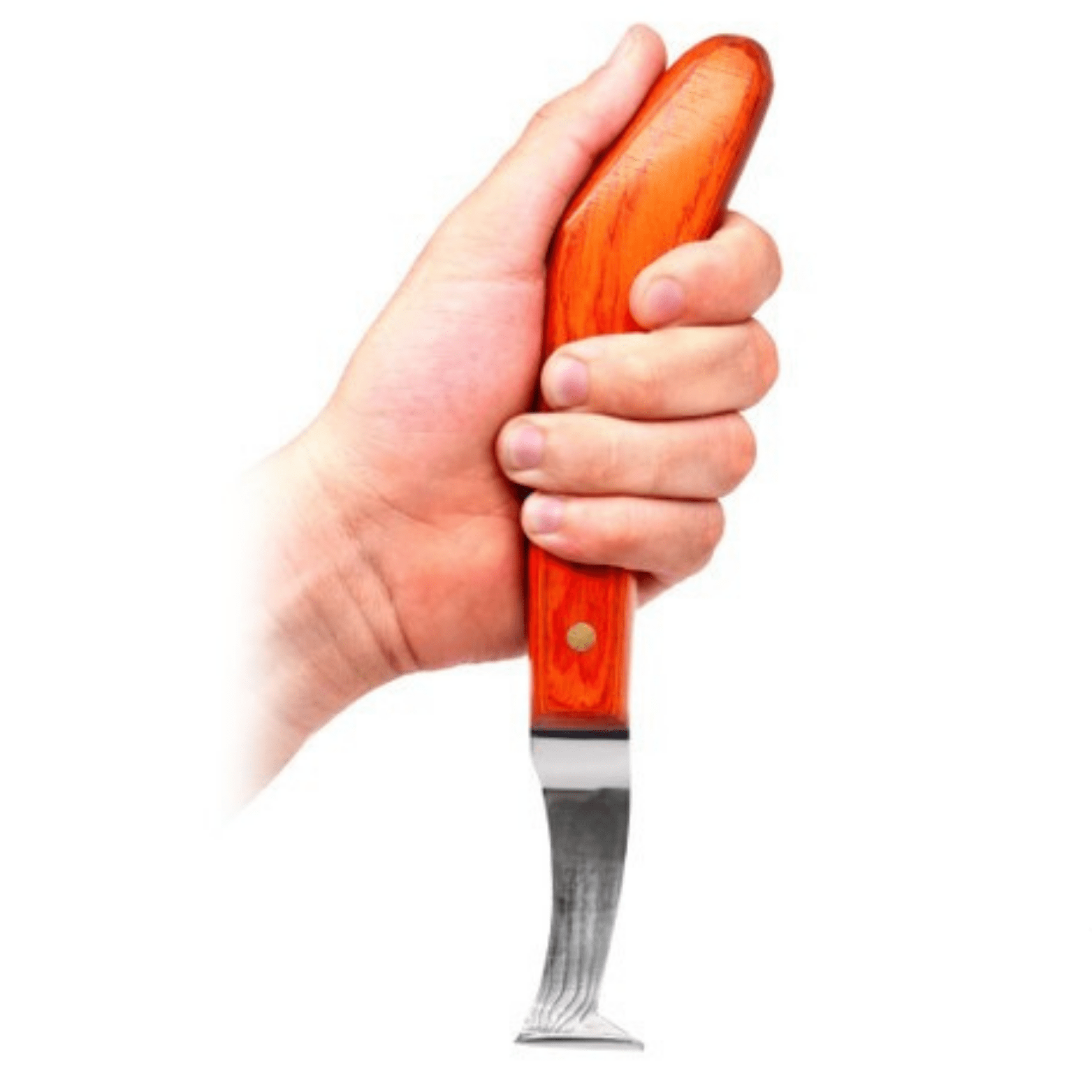 Professional Hoof Knife – Precision Farrier Tool for Hoof Trimming - PK HARD